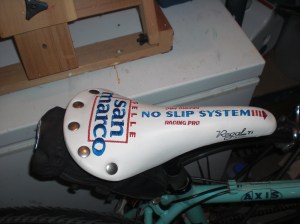 CIMG1085 My new Regal with a bit too much embroidery.